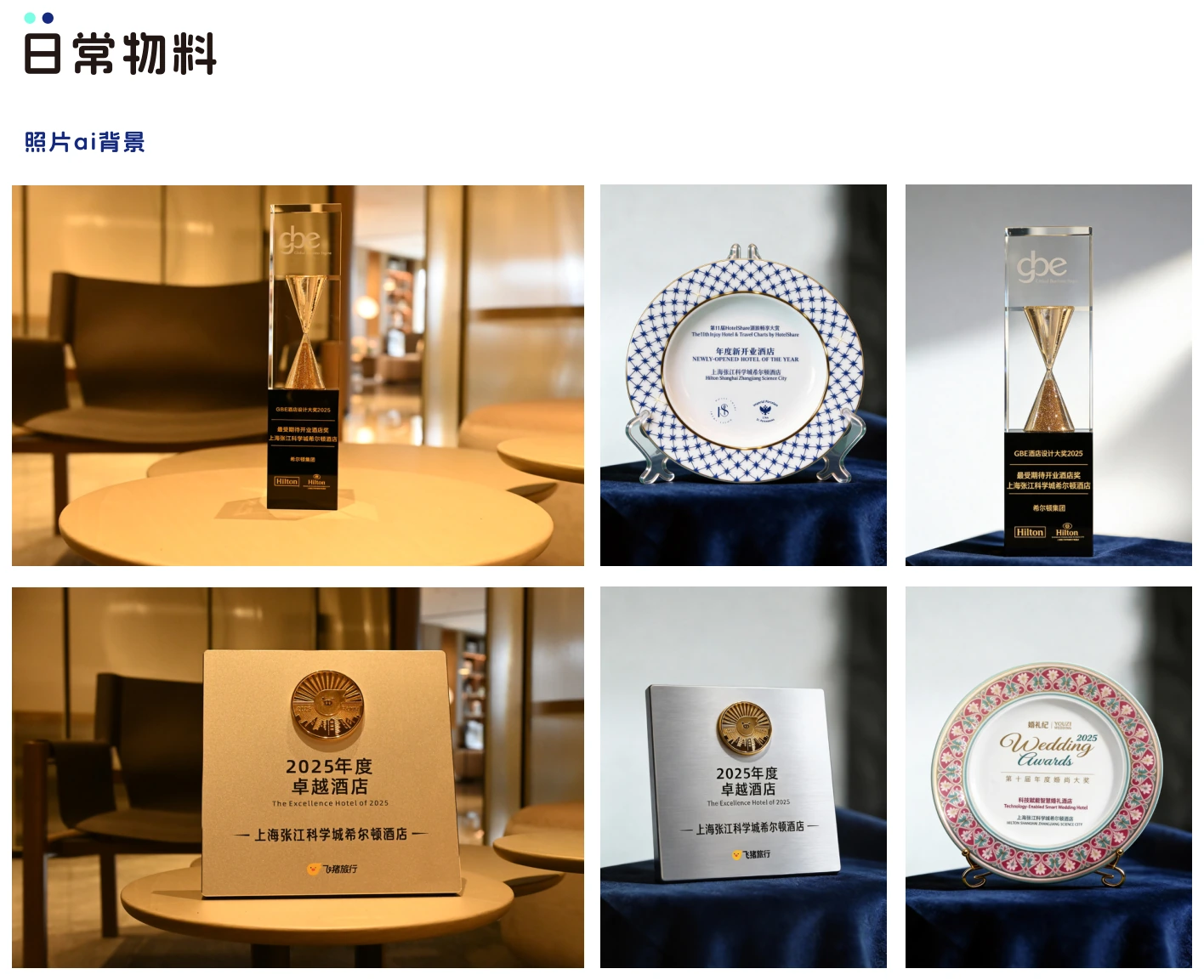 Hilton 奖项影像与 AI 背景
